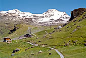 Salita al Passo dei Salato tra la Valsesia e la Valle del Lys (2.950 metri slm). Il massiccio del Monte Rosa, la Piramide Vincent (4215 m).